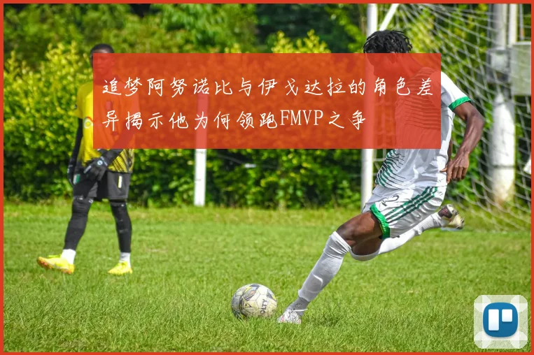 追梦阿努诺比与伊戈达拉的角色差异揭示他为何领跑FMVP之争