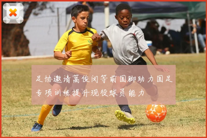 足协邀请蒿俊闵等前国脚助力国足专项训练提升现役球员能力