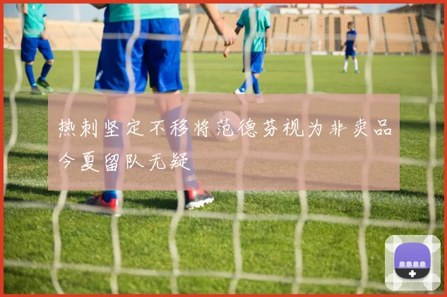 热刺坚定不移将范德芬视为非卖品今夏留队无疑