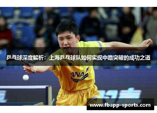 乒乓球深度解析：上海乒乓球队如何实现中路突破的成功之道