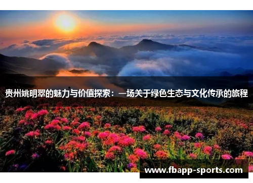 贵州姚明翠的魅力与价值探索：一场关于绿色生态与文化传承的旅程